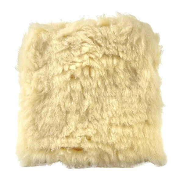 Químicos oso garra de garras Premium Waschpad