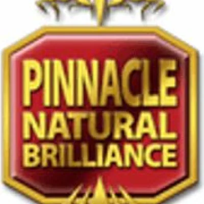 Pinnacle