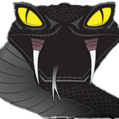 Black Mamba