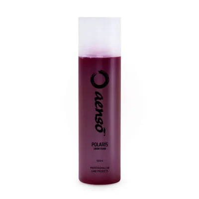 Aensō POLARIS Espuma de prelavado 500 ml