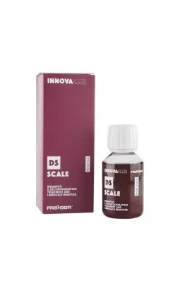 Innovacar DS Scale ampliado
